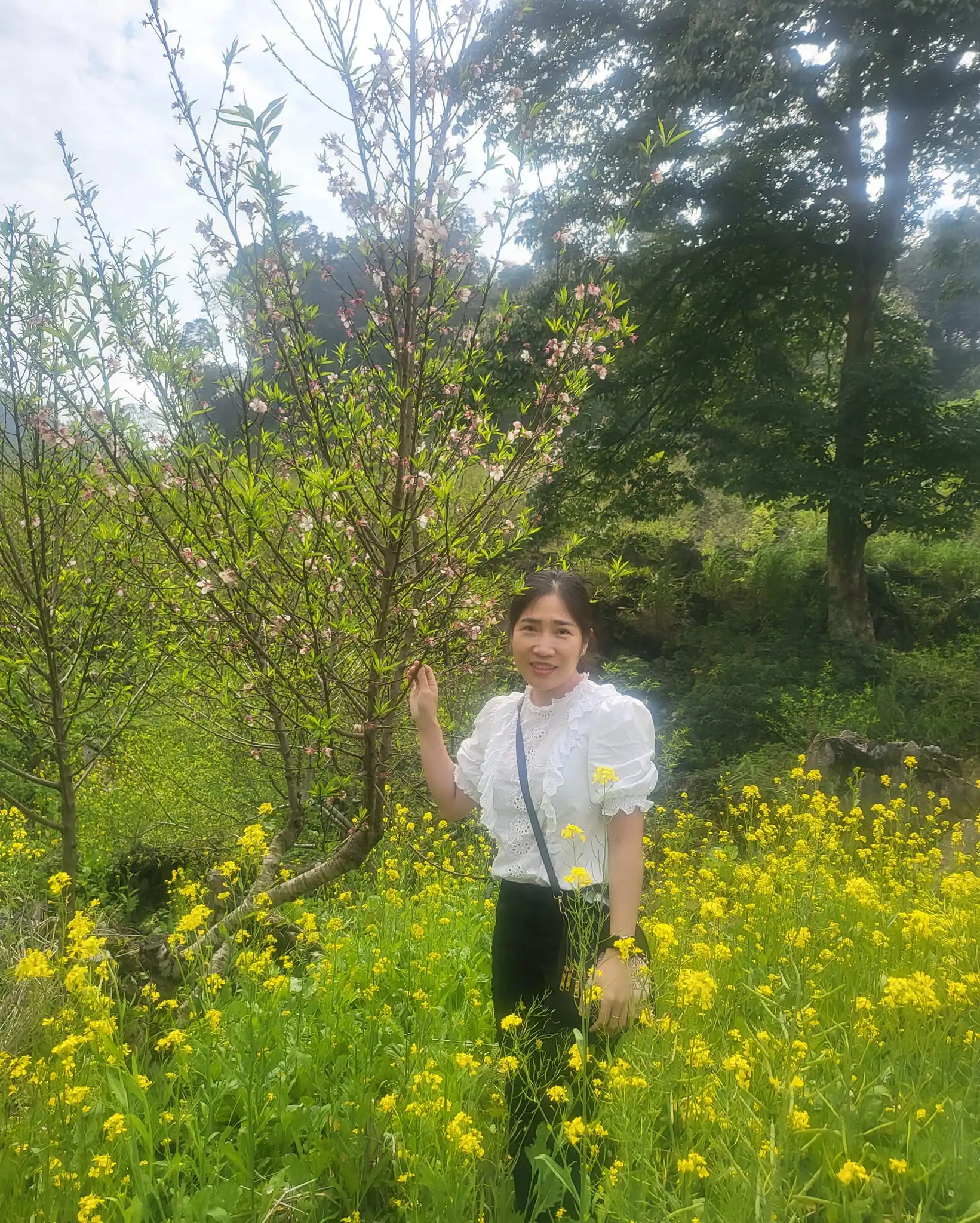 Chị Tuyết Chinh